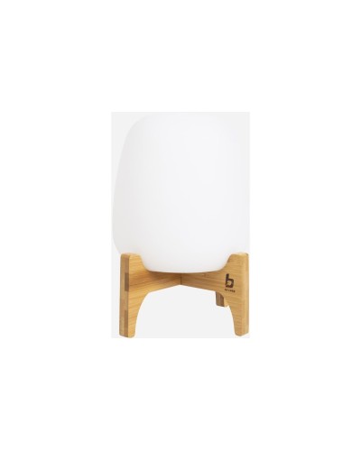 Bo-Camp Lampe de camping Barnes