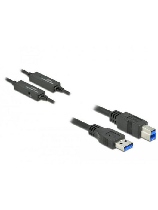 Delock Câble USB 3.1 USB A - USB B 10 m