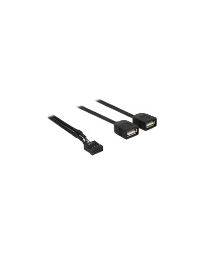 Delock Câble embase à broches USB2.0 2x USB2.0 40 cm