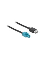 Delock Câble USB HSD Z (f-f) Spécial - USB A 1 m