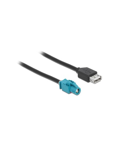 Delock Câble USB HSD Z (f-f) Spécial - USB A 1 m