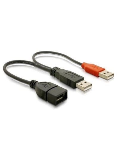 Delock Câble en Y USB 2.0 USB A - USB A 0.22 m