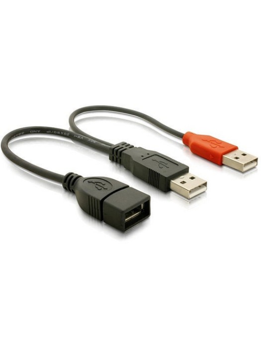 Delock Câble en Y USB 2.0 USB A - USB A 0.22 m