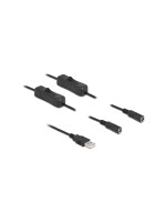 Delock USB-AStecker zu 2x DC 5.5x2.1mm,1m, Mit Schalter,1m,Schwarz