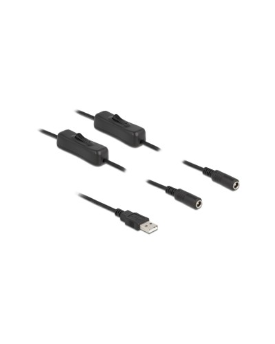 Delock Câble USB Connecteur USB-A vers 2x DC 5.5 x 2.1 mm Avec interrupteur