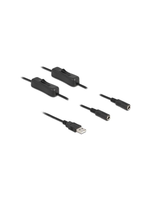 Delock Câble USB Connecteur USB-A vers 2x DC 5.5 x 2.1 mm Avec interrupteur