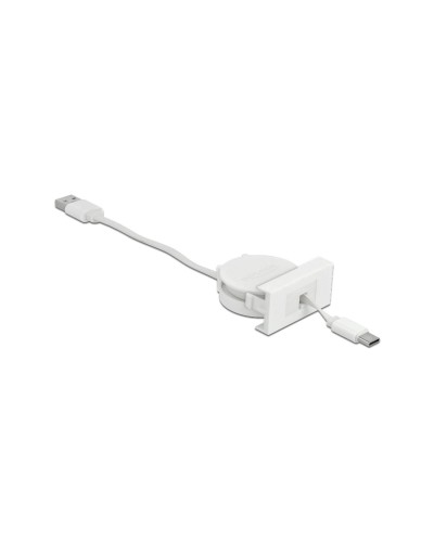 Delock Easy 45 Module USB 2.0 Câble à dérouler USB A - USB C 0.62 m