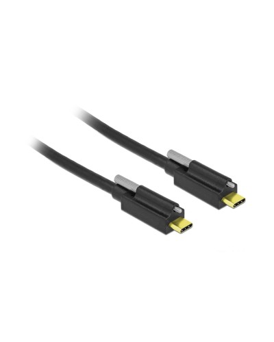 Delock Câble USB 3.1 SuperSpeed USB C - USB C 2 m