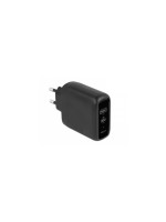 Delock Netzteiladapter USB-C and USB-A, with 20 W + 12 W
