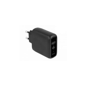 Delock Netzteiladapter USB-C und USB-A, mit 20 W + 12 W