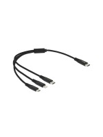Delock Câble chargeur USB USB C - Lightning/Micro-USB B/USB C 0.3 m