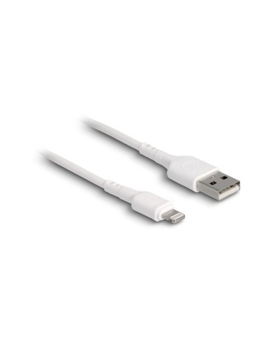 Delock Câble chargeur USB USB A - Lightning 0.3 m, Blanc