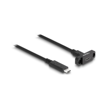 Delock Câbles rallonges à encastrer USB 3.0 USB C - USB C 1 m Delock Câbles rallonges à encastrer USB 3.0 USB C - USB C 1 m