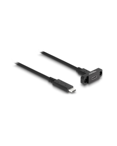 Delock Câbles rallonges à encastrer USB 3.0 USB C - USB C 1 m