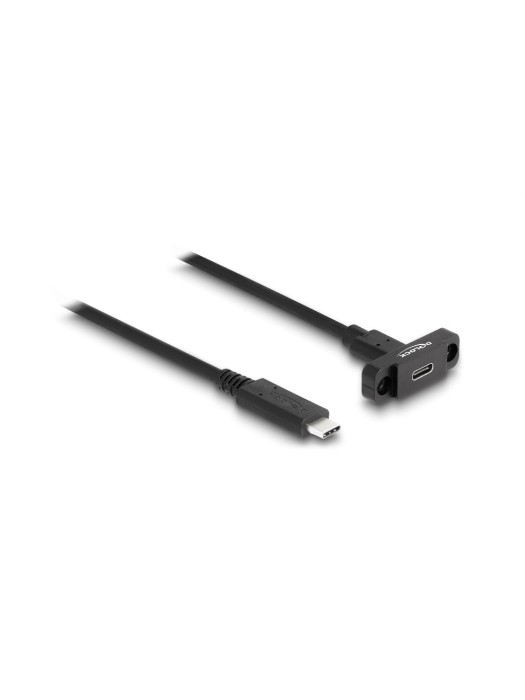 Delock Câbles rallonges à encastrer USB 3.0 USB C - USB C 1 m