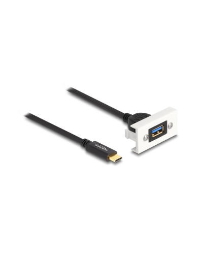 Delock Module Easy 45 SuperSpeed USB A - USB C 1 m