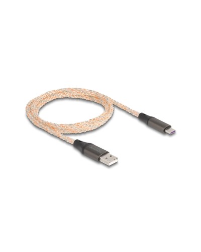 Delock Câble USB 2.0 avec illumination RGB USB A - USB C 1 m