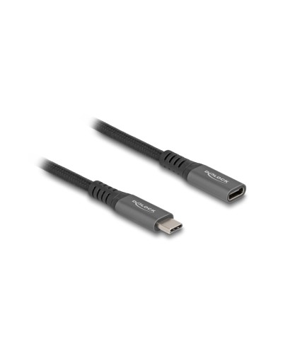 Delock Câble de prolongation USB 3.1 10Gbps PD 100 W USB C - USB C 1 m