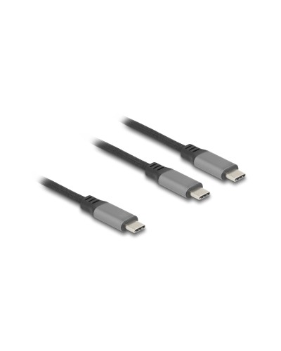 Delock Câble en Y USB 2.0 USB C - USB C 1.2 m