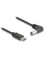 Delock Câble électrique USB Fiche creuse 5.5/2.1 mm USB-C - Spécial 1.5 m