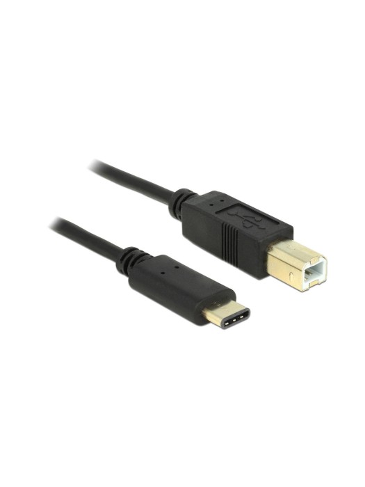 Delock Câble USB 2.0 USB C - USB B 2 m