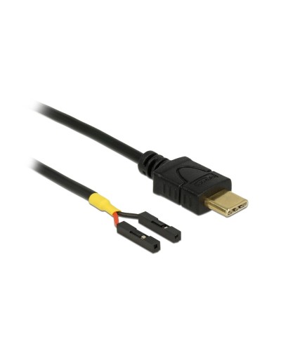 Delock Câble électrique USB 2x socle pour poteau USB C - Pinheader 0.3 m