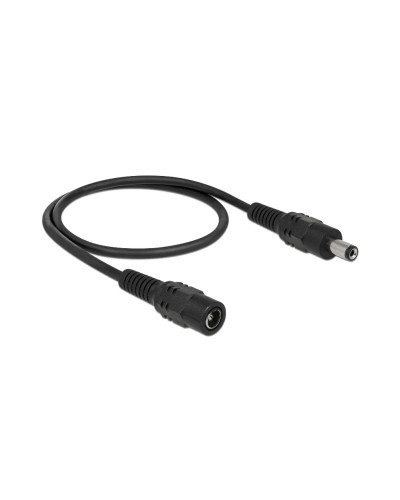 Delock rallonge de prise creuse 5.5/2.1 DC Spécial - Spécial 0.5 m