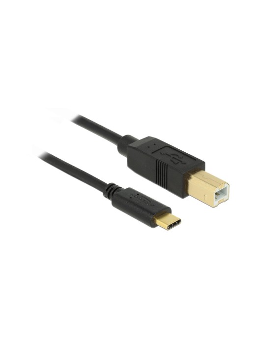 Delock Câble USB 2.0 USB C - USB B 4 m