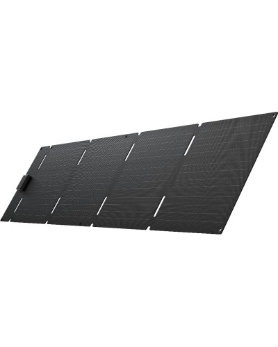 EcoFlow 60W Tragbares Solarpanel (Type-C), Schwarz