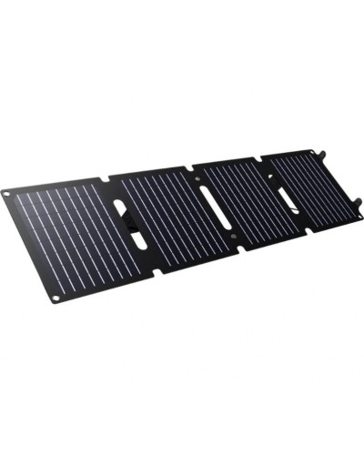 Trust Panneau solaire Zuny 40W 40 W